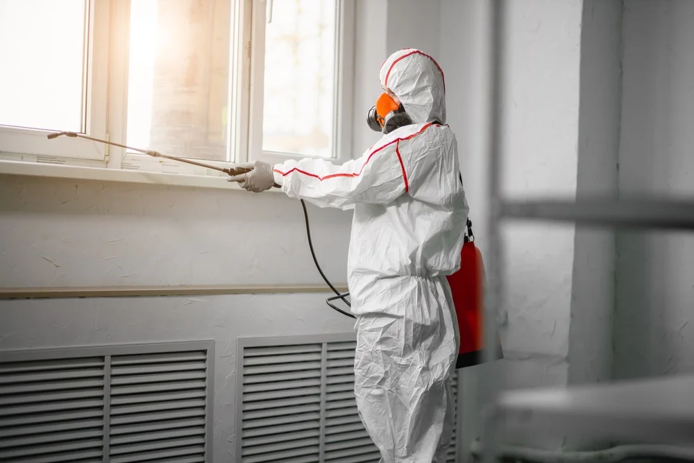 Professional mold remediation services in Coldspring, TX